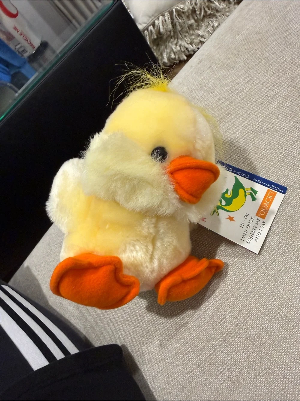 Farmyard Friends Duck